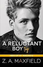 A Reluctant Boy Toy: A demisexual, bi awakening romance 