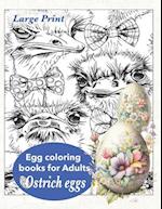 Ostrich eggs. Egg coloring books for Adults