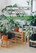 Growing Plants Indoors: Guide to Houseplants from Experts 