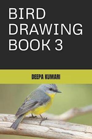 BIRD DRAWING BOOK 3