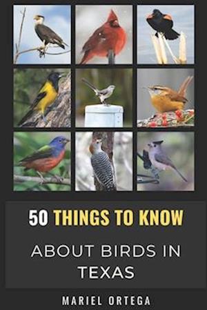 50 Things to Know About Birds in Texas : Birding in the Texas