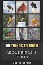 50 Things to Know About Birds in Texas : Birding in the Texas 