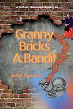 Granny Bricks A Bandit 