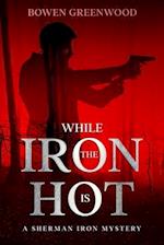 While the Iron is Hot: An Organized Crime Private Investigator Mystery 