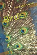 Bird's 