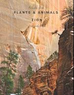 Plants and Animals of Zion National Park: Activity Book 