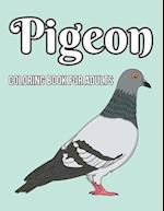 Pigeon Coloring Book For Adults: Pigeon Coloring Book for Adults Man, Woman Design Stress Relief 