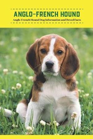 Anglo-French Hound: Anglo-French Hound Dog Information and Breed Facts