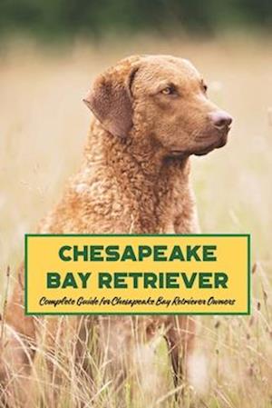 Chesapeake Bay Retriever: Complete Guide for Chesapeake Bay Retriever Owners