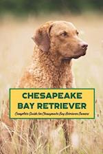Chesapeake Bay Retriever: Complete Guide for Chesapeake Bay Retriever Owners 