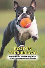 Boston Terrier Dog: Boston Terrier Dog Characteristics, Origin, Temperament and Lifespan 