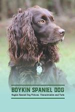Boykin Spaniel Dog: Boykin Spaniel Dog Pictures, Characteristics and Facts 