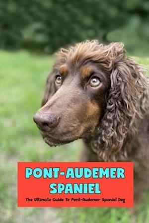 Pont-Audemer Spaniel: The Ultimate Guide To Pont-Audemer Spaniel Dog