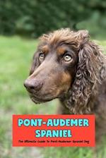 Pont-Audemer Spaniel: The Ultimate Guide To Pont-Audemer Spaniel Dog 
