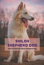 Shiloh Shepherd Dog: Get to Know the Shiloh Shepherd Dog 