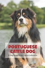 Portuguese Cattle Dog: A Dog Breed from Castro Laboreiro 