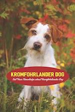 Kromfohrlander Dog: Test Your Knowledge about Kromfohrlander Dog 