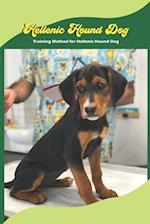 Hellenic Hound Dog: Training Method for Hellenic Hound Dog 