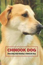 Chinook Dog: Choosing And Raising a Chinook Dog 