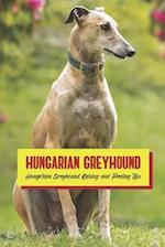 Hungarian Greyhound: Hungarian Greyhound Raising and Feeding Tips 