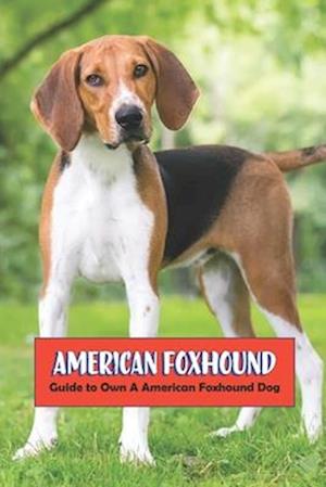 American Foxhound: Guide to Own A American Foxhound Dog