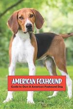 American Foxhound: Guide to Own A American Foxhound Dog 