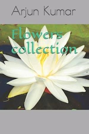 Flowers collection