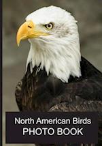 North American Birds Photo Book: 40 Different Bird Photos With Identification Names For Alzheimer & Dementia Patients To Help With Memories and Memory