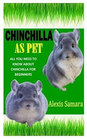 are chinchillas good beginner pets