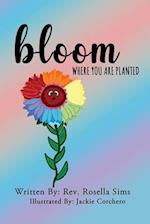 Bloom Where You Are Planted 