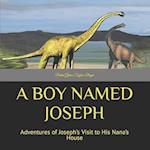 A BOY NAMED JOSEPH: Adventures of Joseph's Visit to His Nana's House 