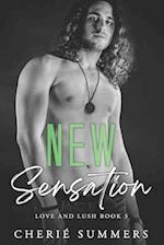 New Sensation: Steamy rockstar romance with a paranormal twist. 