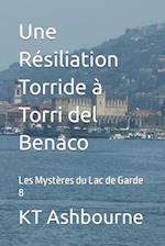 Une Résiliation Torride à Torri del Benaco