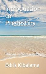 Introduction to Predestiny: The Sea without a shore 