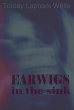 Earwigs in the Sink: a short story 
