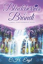 Blackberries and Brandi: A small town, second chance of romance novel 