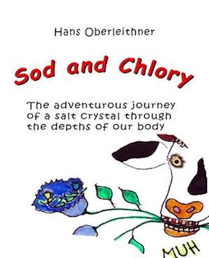 Sod and Chlory: The adventurous journey of a salt crystal through the depths of our body