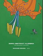 Some Abstract Algebra: For Secondary Teachers 