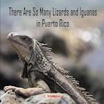 There Are So Many Lizards and Iguanas in Puerto Rico 