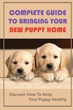 Complete Guide To Bringing Your New Puppy Home