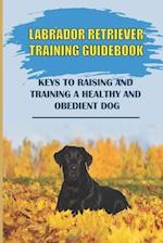 Labrador Retriever Training Guidebook