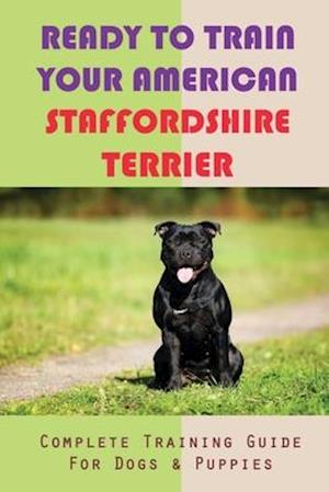 Ready To Train Your American Staffordshire Terrier