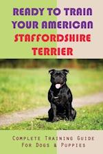 Ready To Train Your American Staffordshire Terrier