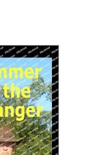 Summer of the Stranger 