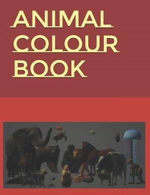 Animal Colour Book