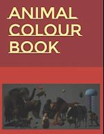 Animal Colour Book 