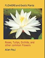 FLOWERS and Exotic Plants: Roses, Tulips, Orchids, and other common Flowers 