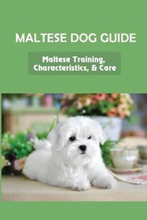 Maltese Dog Guide