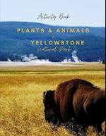 Plants & Animals of Yellowstone National Park: Activity Book 