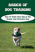 Basics Of Dog Training